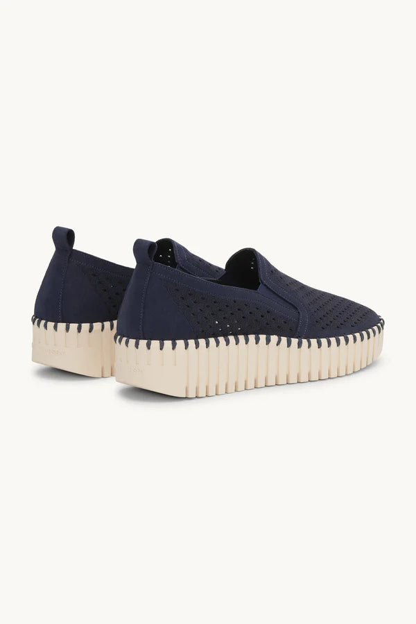 Indigo Wedge