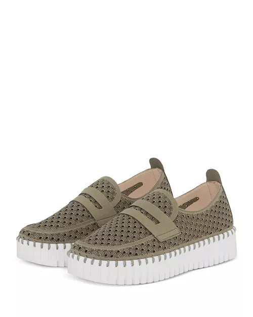 Tulip Olive Loafer