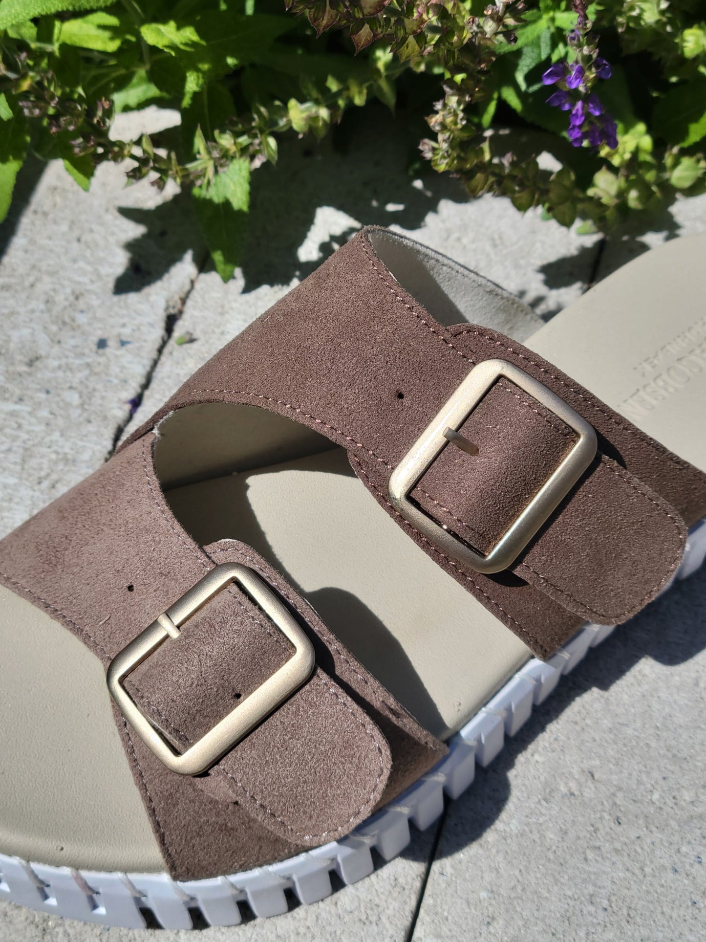 Chestnut Isle Sandal