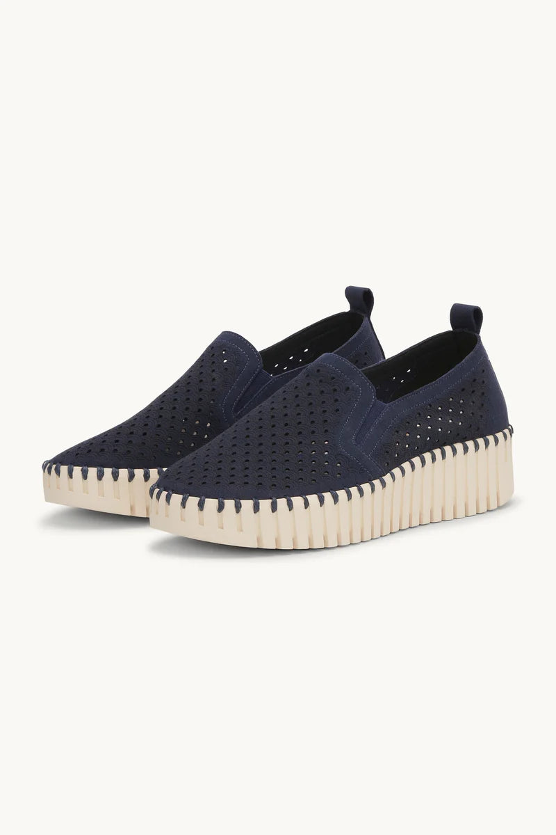 Indigo Wedge