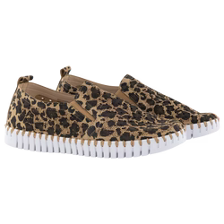 Tulip Leopard