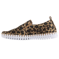 Tulip Leopard