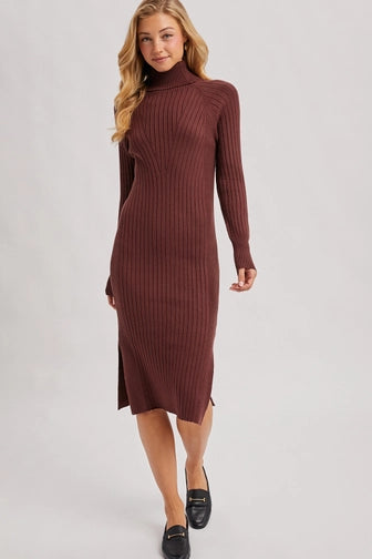 Turtleneck Sweater Dress