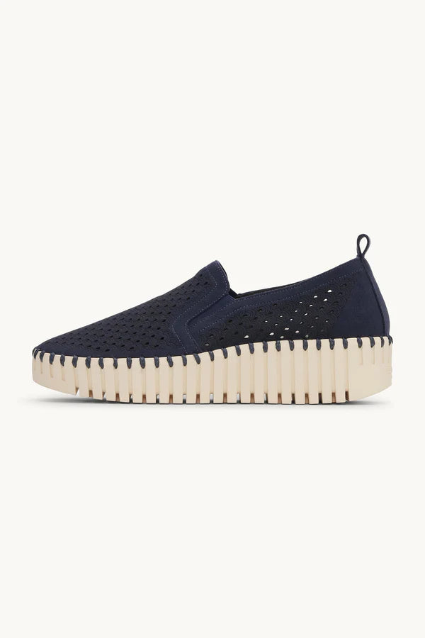 Indigo Wedge